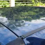 hail damage, automobile, car roof, paint damage, bumps, dents, hailbones, hail dents, case of insurance, insurance, hail damage, hail damage, hail damage, hail damage, hail damage, insurance